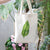Tote Bag Feuille Verte Simple | Maison du Tote Bag